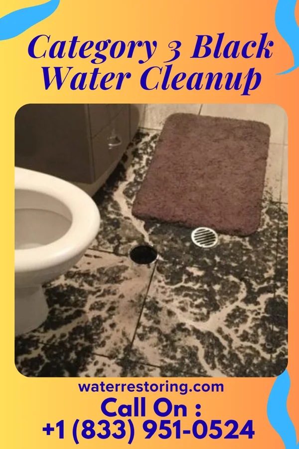 Category 3 Black Water Cleanup in Upper Brookville, NY