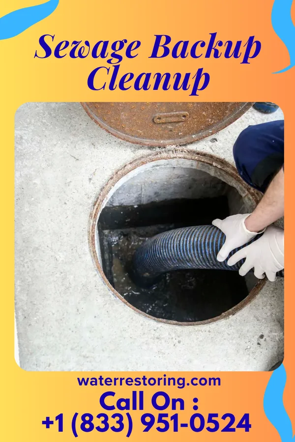 Sewage Backup Cleanup in Upper Brookville, NY
