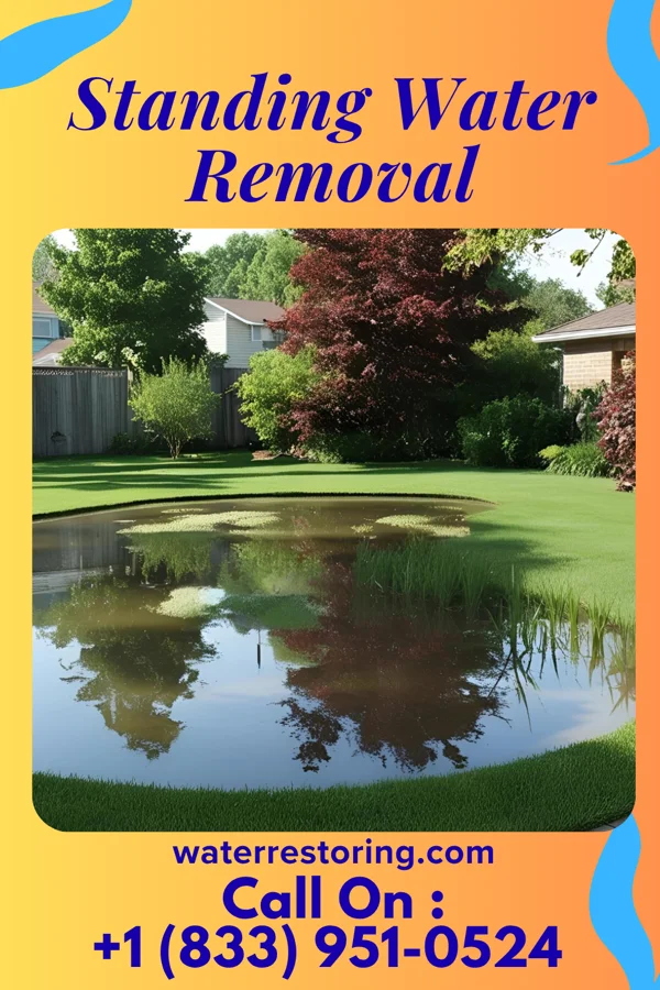 Standing Water Removal in Upper Brookville, NY